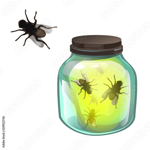 Glass transparent jar with flies inside isolated on white background. Vector cartoon close-up illustration.
