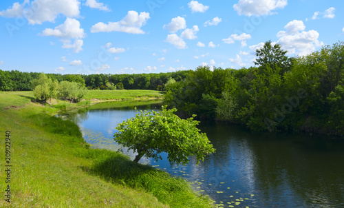 Sunny summer landscape with green trees growing on the riverbank.River Buzuluk in Volgograd region,Russia.