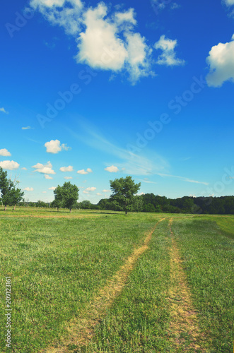 Sunny summer scene with green trees growing along the ground country road.Blue sky with beautiful bright clouds.