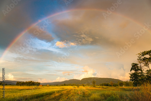 Rainbow over Field