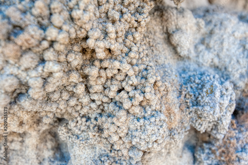 Coral reef at the wall of the Reef cave (Rifovaya cave), Don river, Volgograd region Coral reef at the wall of the Reef cave (Rifovaya cave), Don river, Volgograd region