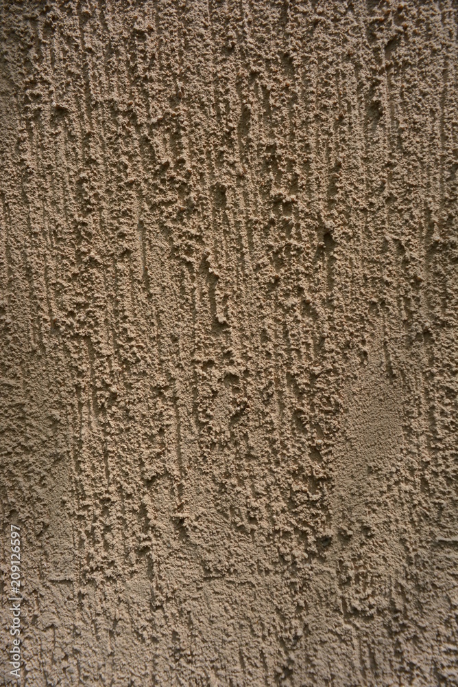 Building material bark beetle painted on the wall with the color of the sun and brown paint Building material bark beetle painted on the wall with the color of the sun and brown paint