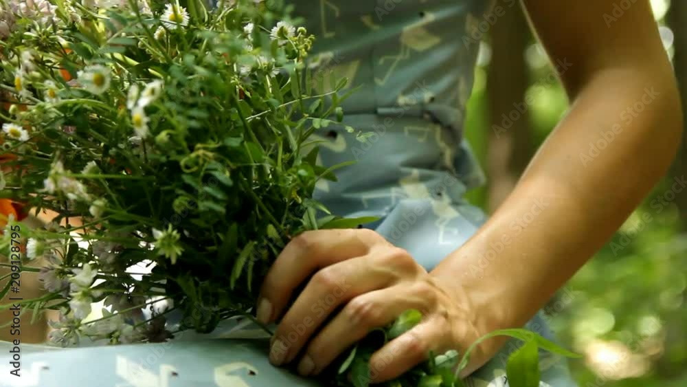 young girl in a light dress is holding a bouquet of wildflowers in her hand young girl in a light dress is holding a bouquet of wildflowers in her hand