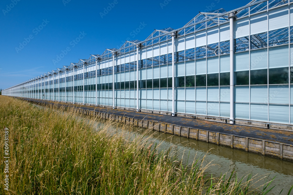 Diminishing perspective view of a greenhouse in Westland, the Netherlands