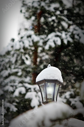 Snow © Вероника Денисова