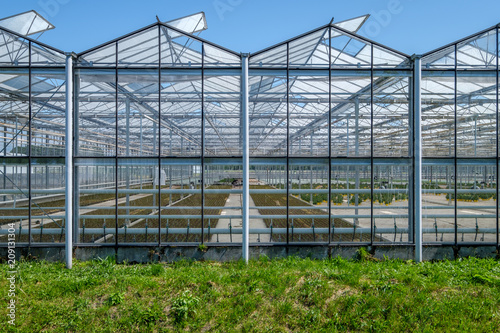 View inside a greenhouse in the Netherlands © FotoCorn