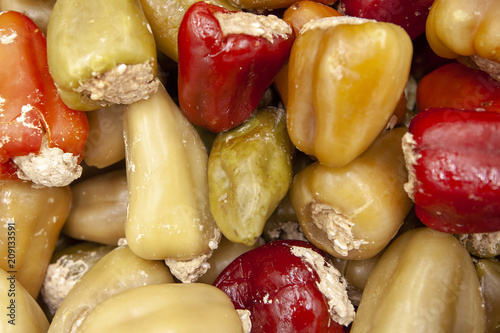 Semi-prepared Bulgarian stuffed peppers. Frozen food. photo