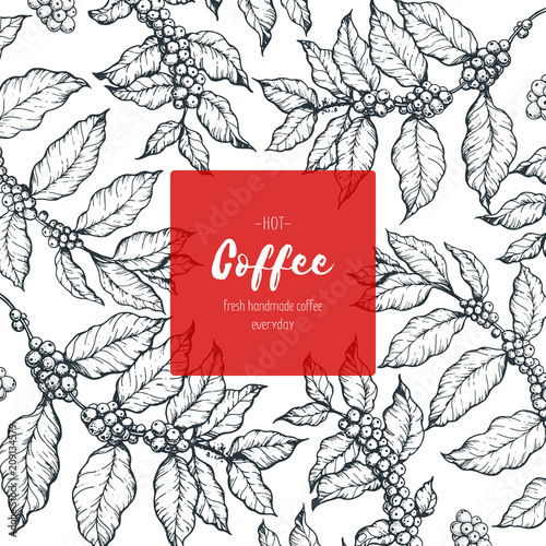 Coffee shop design template. Coffee tree hand drawn vector illustration. Vintage design. Engraved frame.