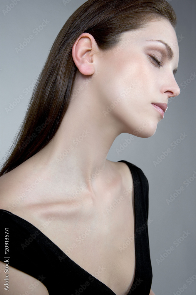 Model Beauty Stylish Makeup Portrait Model Beauty Stylish Makeup Portrait