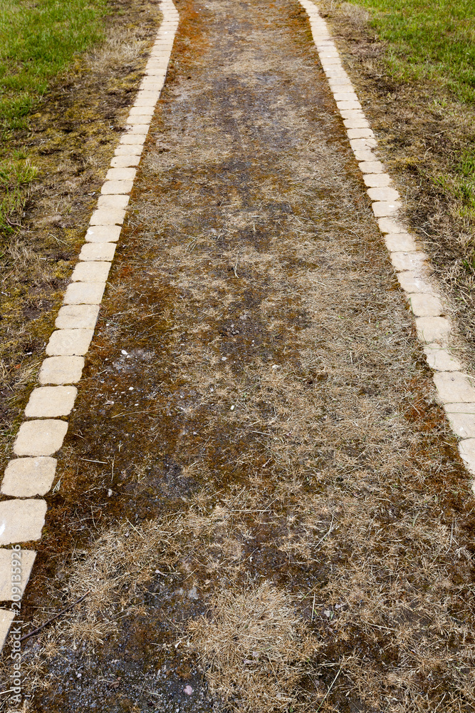 Obraz premium abandoned road