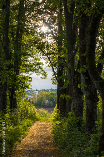 Blick auf den Kirchturm