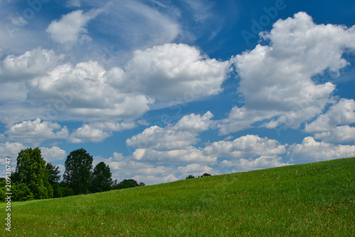 Landscape with green grass on the hillside  trees at the foot of the hill and clouds on the blue sky.