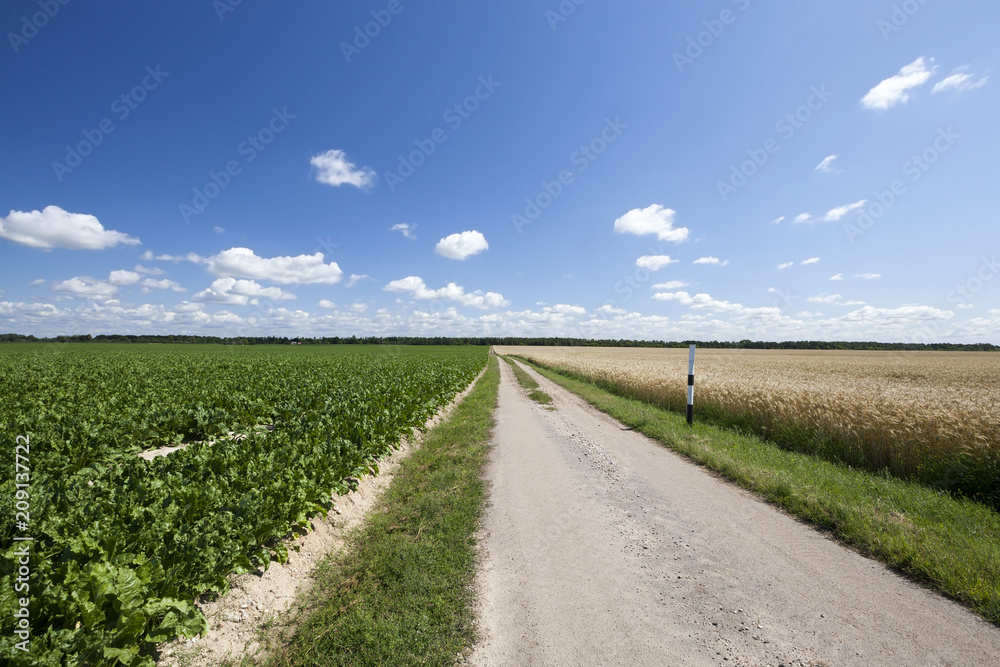 rural road