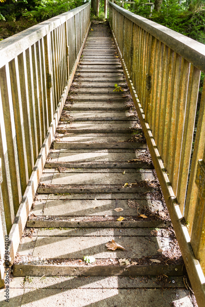 Wooden footbridge with handrails in sunlight. Wooden footbridge with handrails in sunlight.