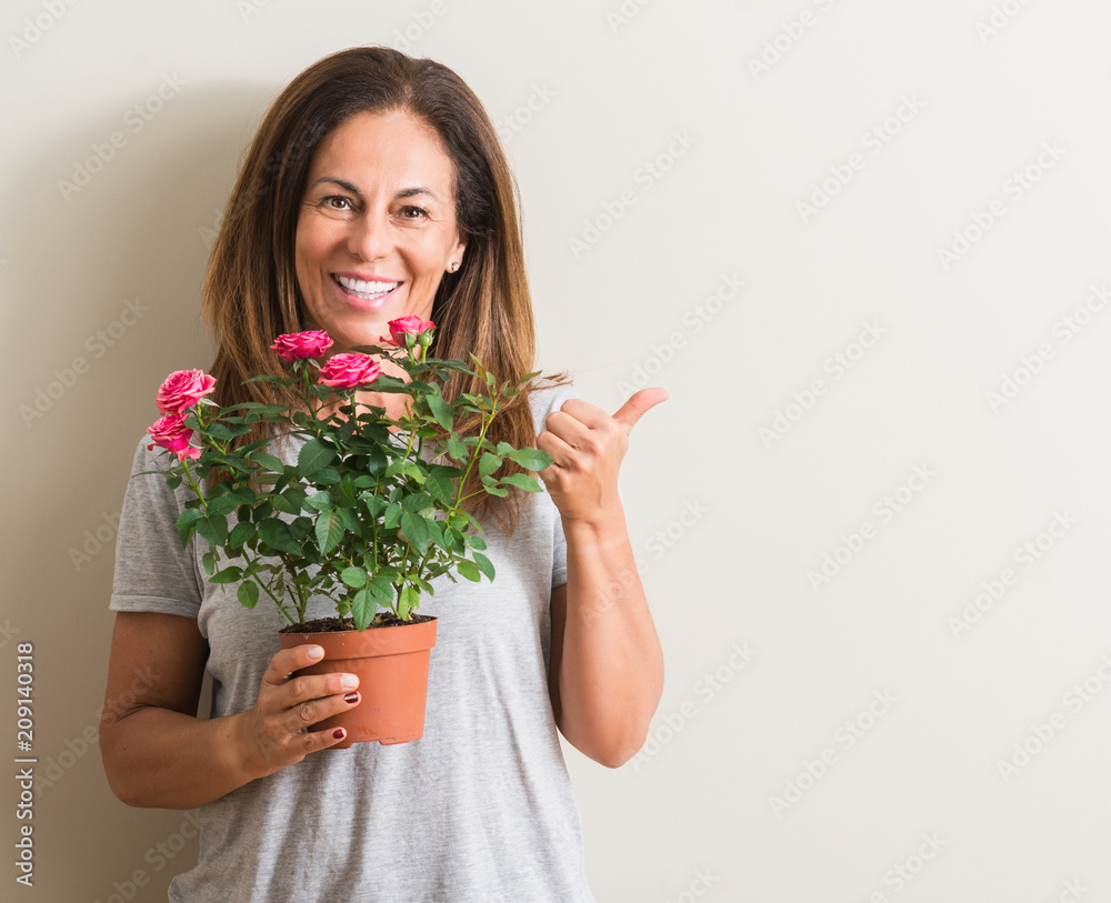 Middle age woman holding roses flowers on pot pointing with hand and finger  up with happy face smiling Stock Photo