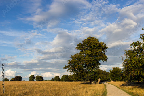 Photography evening in Jaegersborg Dyrehave park, north of Copenhagen