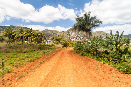Photography Road across Guasasa valley near Vinales, Cuba