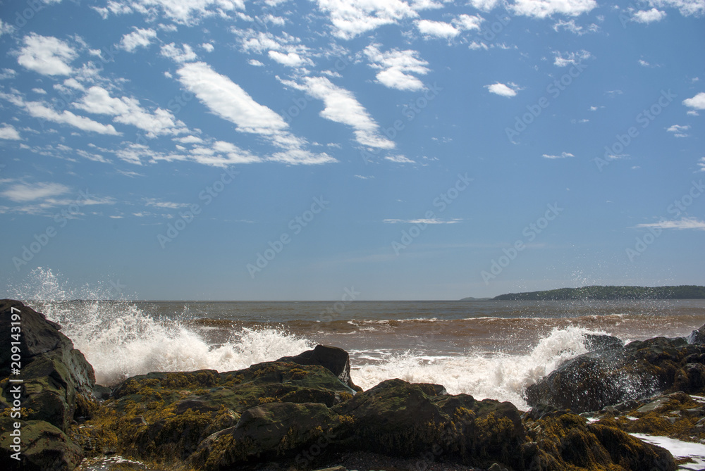 Seaweed Covered Rocks Smashed by Waves Seaweed Covered Rocks Smashed by Waves