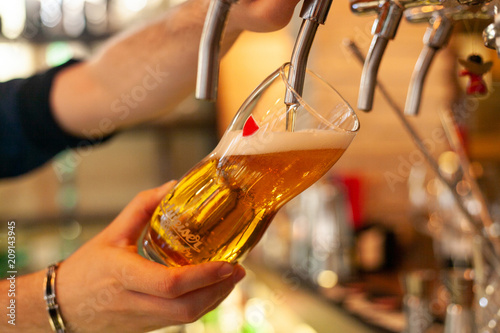 The barman pours a light beer from the tap