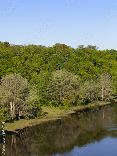 deciduous trees