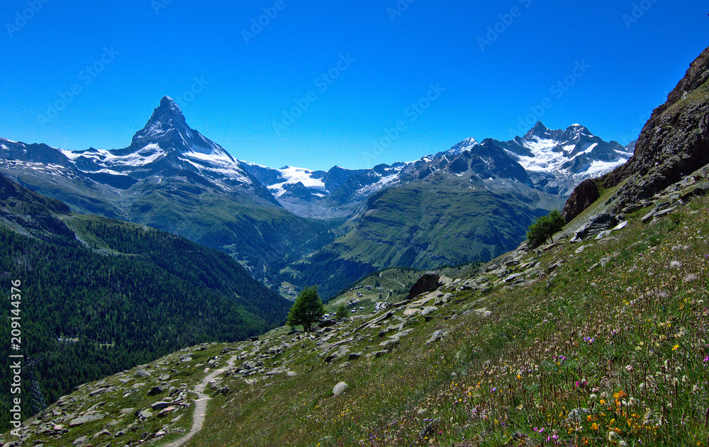 Matterhorn hiking trail with wildflowers on side of path
