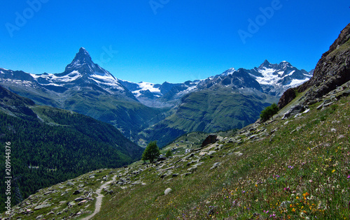 Matterhorn hiking trail with wildflowers on side of path