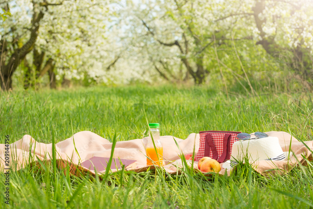 Fototapeta premium Plaid, juice with apples and a bag for a picnic, under a warm sun, in blossoming spring gardens. The concept of a picnic, summer and rest
