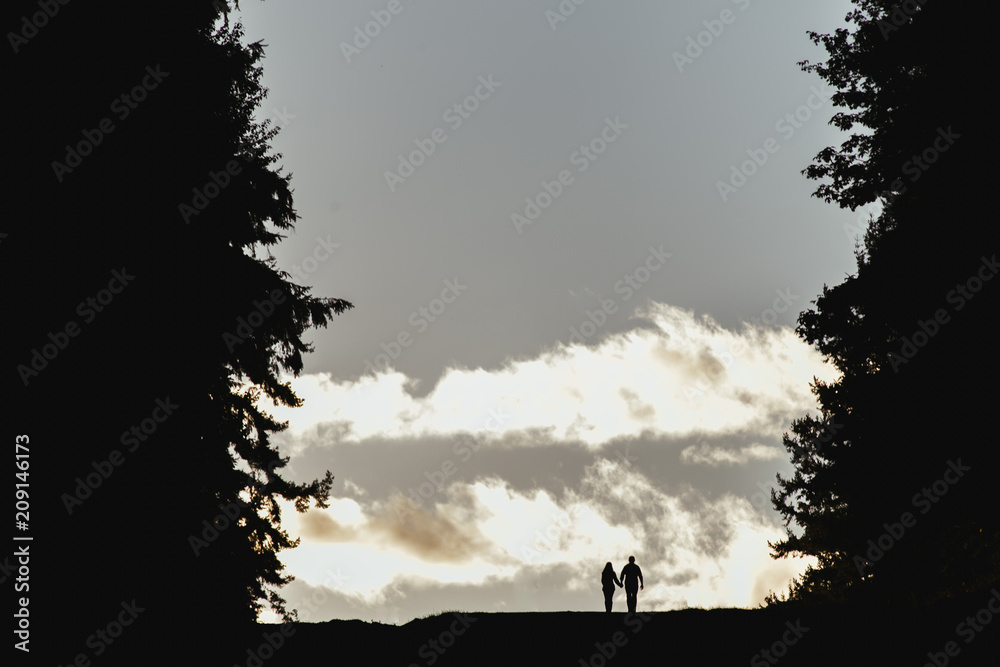 Fototapeta premium Couple Silhouette
