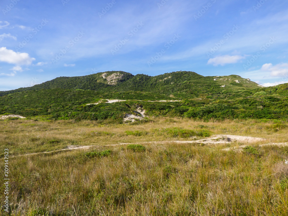 Sand dunes with restinga forest and hill in the background - Florianopolis, Brazil