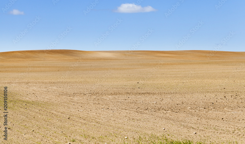 Fototapeta premium plowed field
