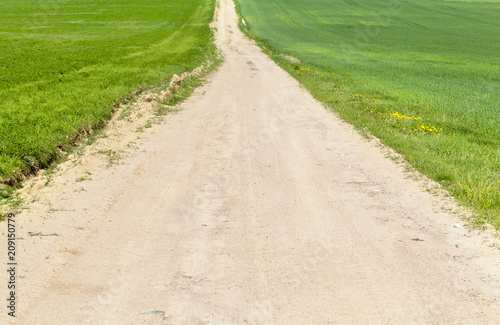 spring landscape