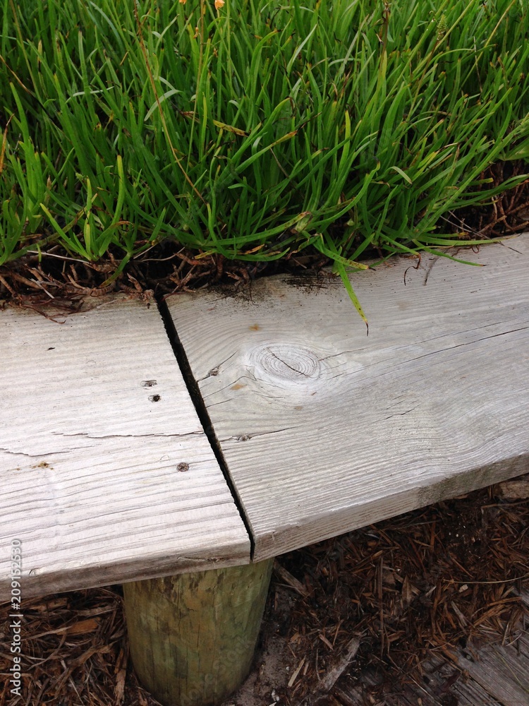 Obraz premium Wood/Green