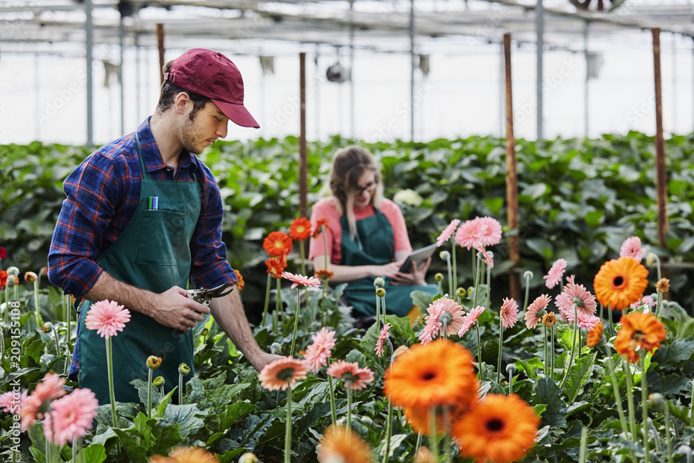 Florists Working In Greenhouse Florists Working In Greenhouse