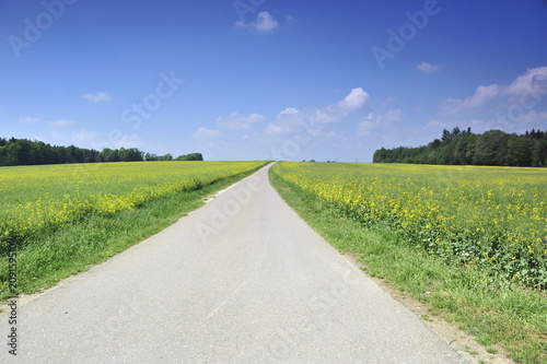 A lonely road in Germany