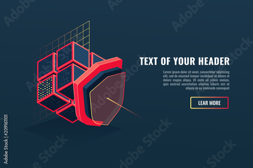 Concept of protection digital data, database and server data guarding, blockchain, program blocks, shield isometric vector