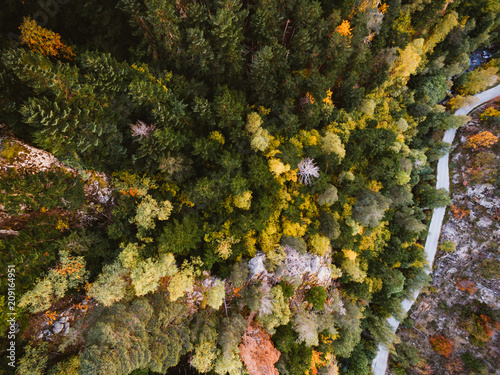 Aerial view of country roads at autumn