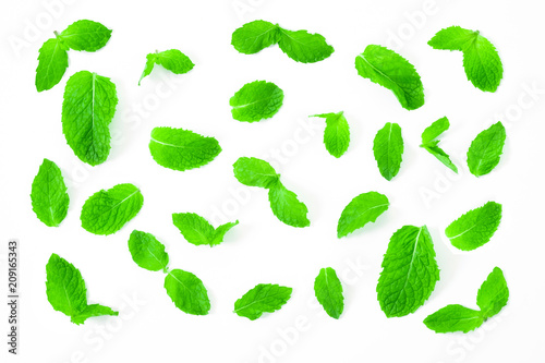 Fresh spearmint leaves isolated on the white background. close up beautiful mint, peppermint.