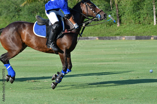 polo player use a mallet hit ball in tournament