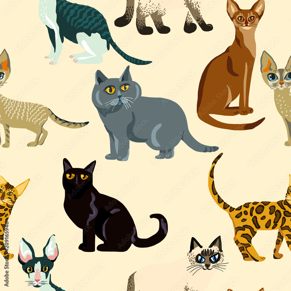 Cartoon cats seamless pattern,  Illustration  breeds of cats
