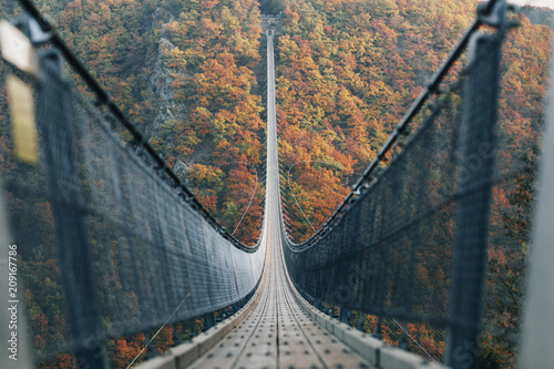 Bridge in the middle of nature photo