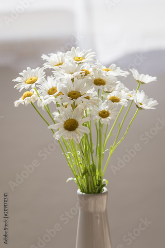 Blossoming daisies in a vase in the interior.