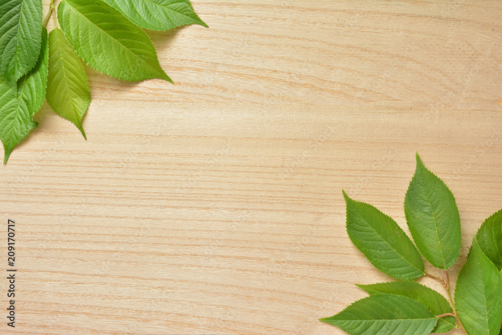 Green leaves on a wooden background




