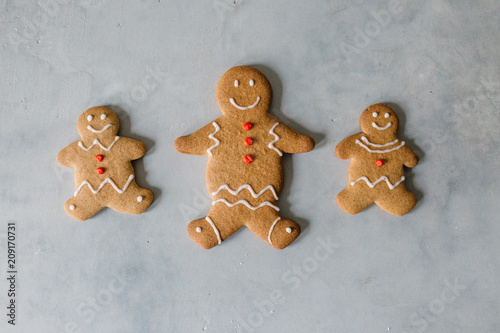 Gingerbread Christmas Cookies