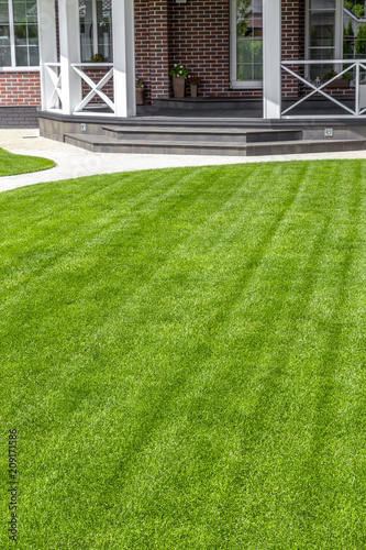 Beautiful evenly trimmed lawn in the backyard of a private house.