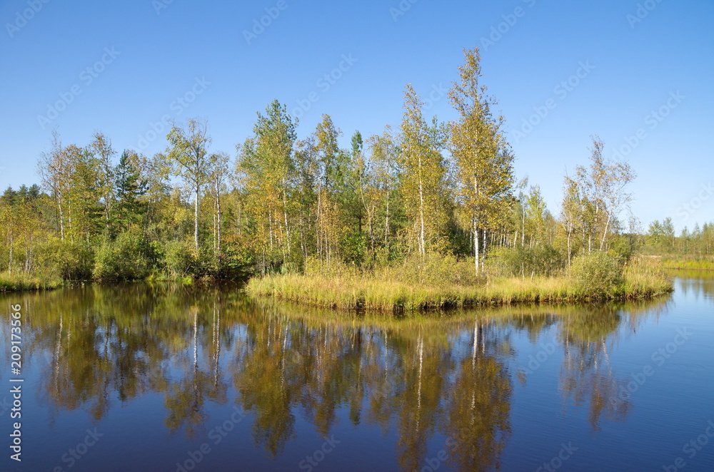 Autumn landscape with a river and birches on a Sunny day