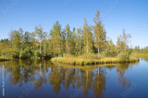 Autumn landscape with a river and birches on a Sunny day