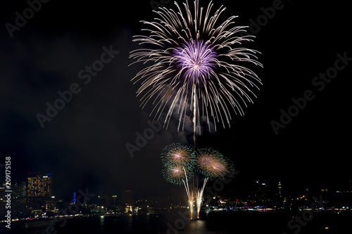 Festive beautiful colorful fireworks display on the sea beach, Amazing holiday fireworks party or any celebration event in the dark sky © Mizkit