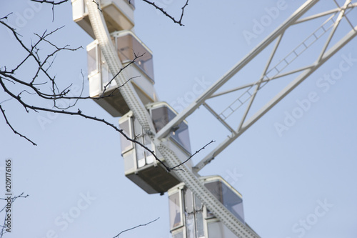 Ferris wheel Visible through tree branches photo