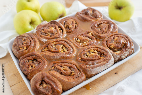 Germschnecken photo