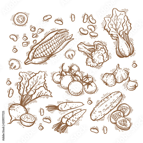Organic Market Kit Vector Illustration